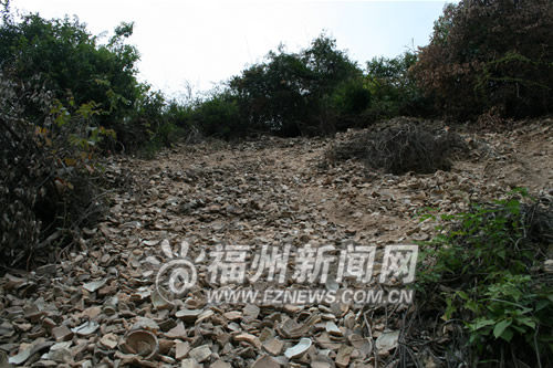 福建千年窯址遭盜挖 殘破瓷片傾瀉山野(組圖)
