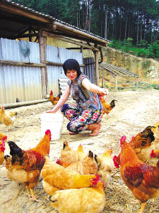 六千元資金帶來(lái)六萬(wàn)元收益圖片