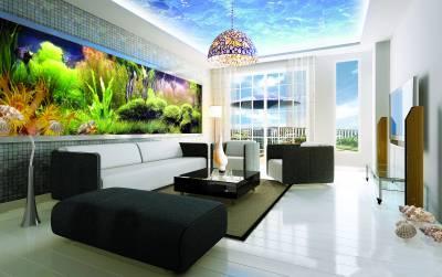 ����(g��)���g���ô���e�ĺ������P(gu��n)�D��������b�޺ͼҾ��υs���÷ǳ��������ֶΣ��@��������g�����c���s�bY(ji��)�ϸ��ܺ��г������L(f��ng)֮��Ȥ���O(sh��)Ӌ(j��)���D/���ຣ