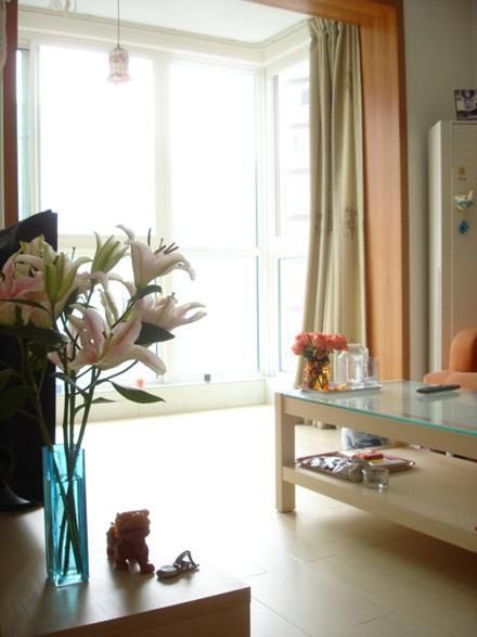 ���f�b�޳��M�����