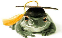 叢林的動物兵法與營銷謀略圖片