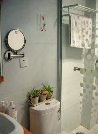 巧用吊蘭衛(wèi)生間大變樣