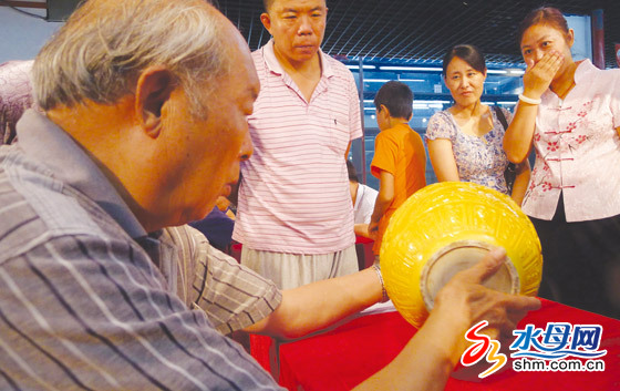 張寧在鑒定瓷器 張寧在鑒定瓷器