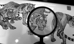 老虎身上的毛發(fā)根根可見