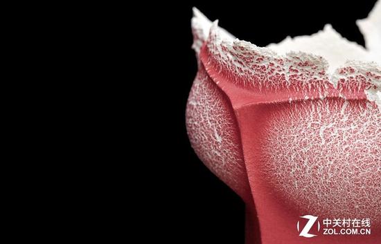 來(lái)一張細(xì)節(jié)展示