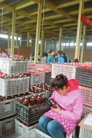 312գxЕxմ޹˾a(chn)܇(ch)gڼӾoa(chn)ԓ˾ͶY12|Ԫծa(chn)ƾ2f(wn)֧a(chn)ֵ_(d)σ|ԪҪa(chn)(li)иߙnƿƾ2016ԓ˾ȫ(gu)صӆ_(d)6000f(wn)Ԫ(dng)500˾͘I(y)